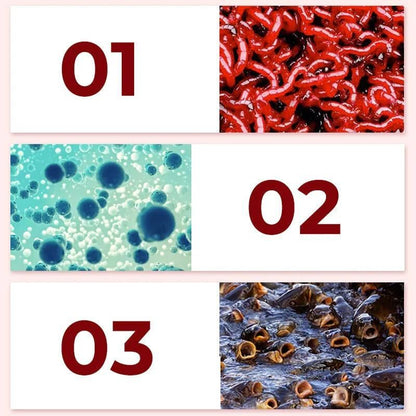 Fishing Attractant | 🔥Buy 1 Get 1 Free🔥| 200ml