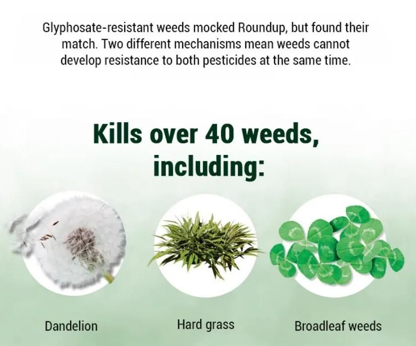 2 IN 1 Max Power Herbicide - 🔥 Buy 1 Get 1 Free 🔥