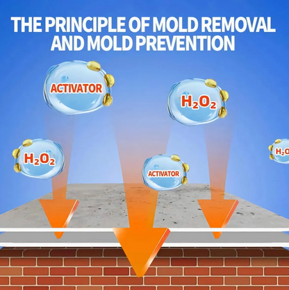 Powerful Wall MoldRemover™ - 200 ml (🔥 BUY 1 GET 1 FREE 🔥)