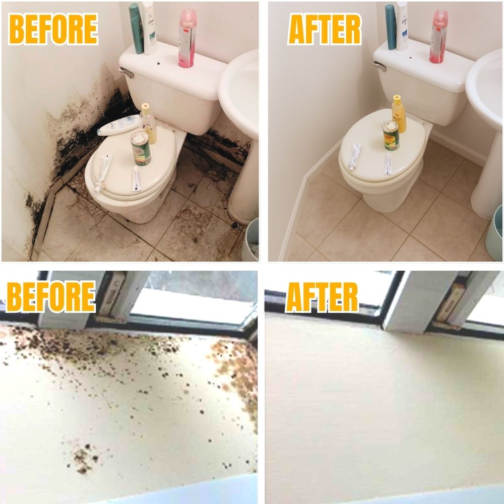 Powerful Wall MoldRemover™ - 200 ml (🔥 BUY 1 GET 1 FREE 🔥)