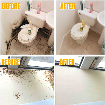 Powerful Wall MoldRemover™ - 200 ml (🔥 BUY 1 GET 1 FREE 🔥)